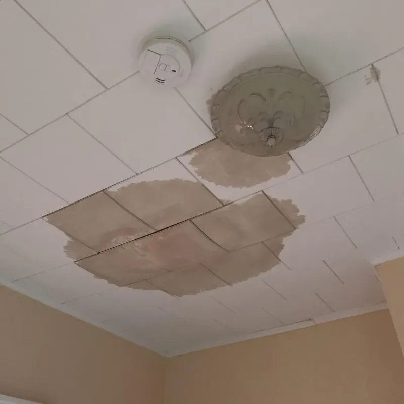 Ceiling Water Damage Repair in Granville, MA