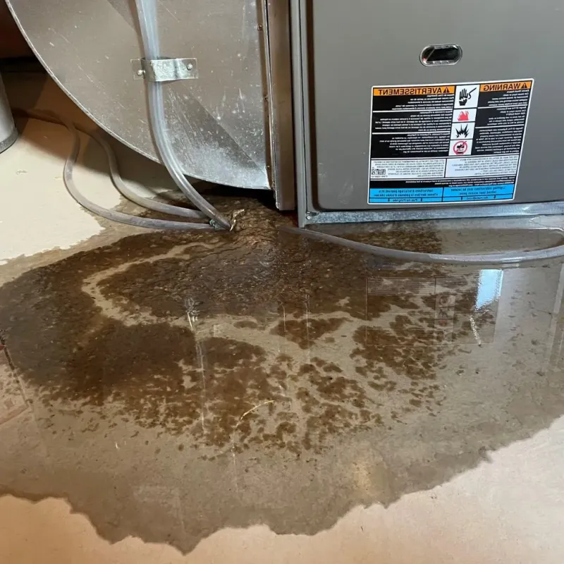 Pipe Burst and Leak Restoration in Granville, MA