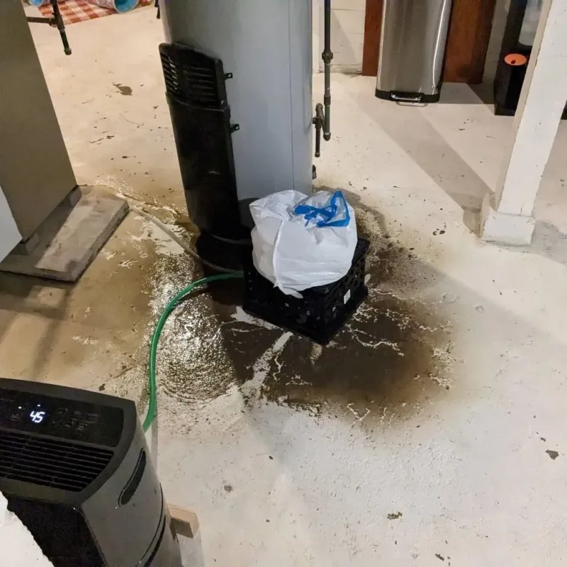 Sewage Backup Cleanup Service in Granville, MA